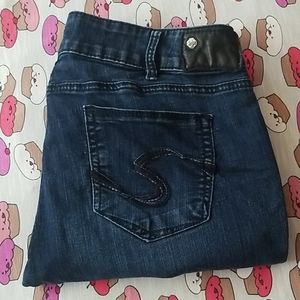 36×31 silver skinny